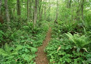 しっかりと話を聞いてくれるクリニック