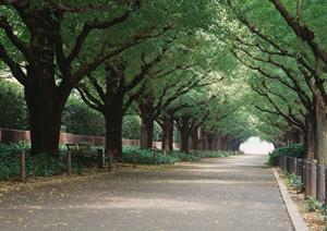 恋愛の悩み相談カウンセリングを受けよう